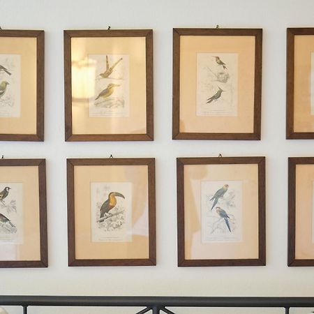 Il Nespolo Di Campopisano Διαμέρισμα Γένοβα Εξωτερικό φωτογραφία